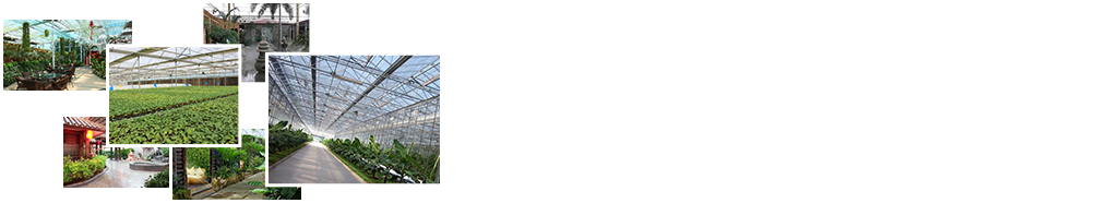 24小時(shí)免費(fèi)咨詢(xún)、免費(fèi)技術(shù)指導(dǎo)