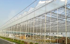 誠(chéng)旭大棚骨架在建工程